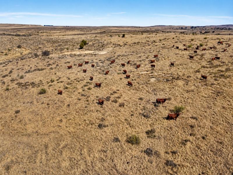 0 Bedroom Property for Sale in Lindley Free State